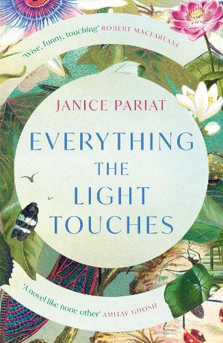 Everything the Light Touches (Paperback)