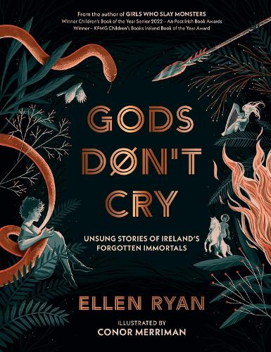 Cover of Gods Don't Cry: Unsung Stories of Ireland's Forgotten Immortals