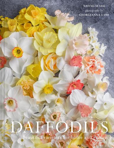 Daffodils by Naomi Slade, Georgianna Lane | Waterstones