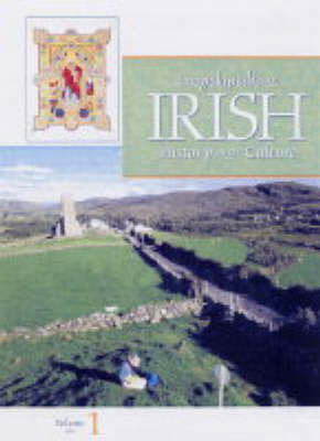 Encyclopedia of Irish History and Culture (Hardback)