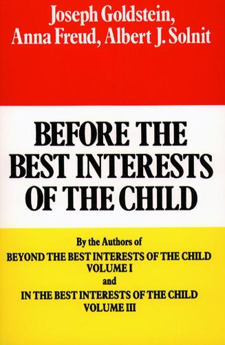 Before the Best Interests of the Child (Paperback)