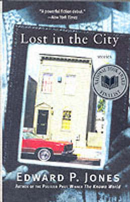 Lost in the City (Paperback)