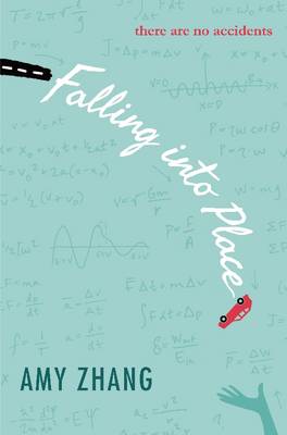 Falling into Place (Paperback)