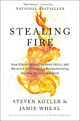 Cover of the book Stealing Fire