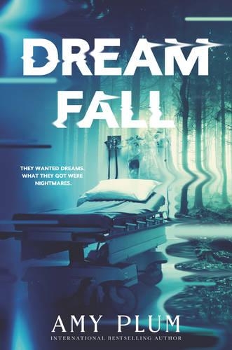 Dreamfall - Dreamfall 1 (Hardback)