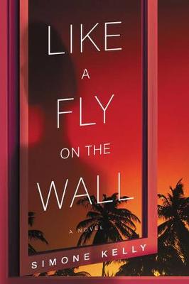 Like A Fly On The Wall (Paperback)