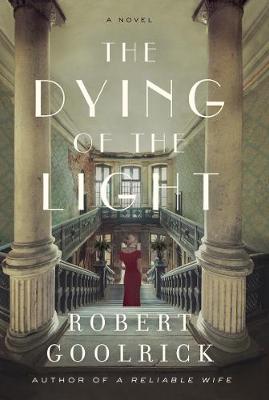 The Dying of the Light: A Novel (Hardback)