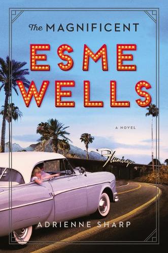 The Magnificent Esme Wells: A Novel (Hardback)