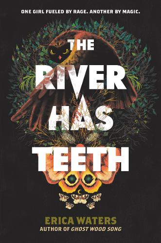 The River Has Teeth (Hardback)