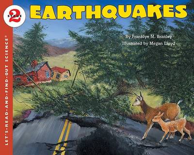 Earthquakes (Paperback)