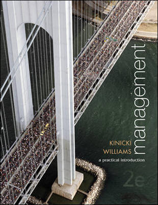 Management: A Practical Introduction (Paperback)