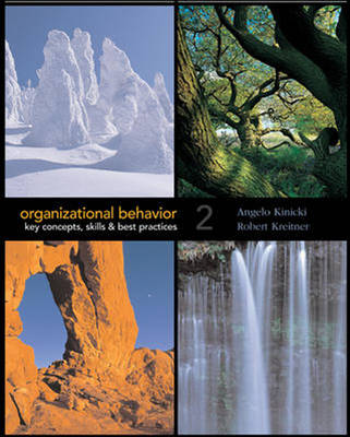 Organizational Behavior: Key Concepts, Skills and Best Practices (Paperback)