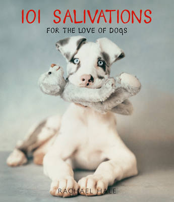 101 Salivations: For the love of dogs (Hardback)