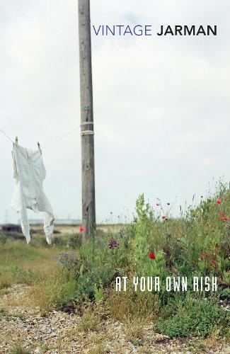 At Your Own Risk: A Saint's Testament (Paperback)