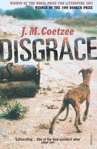 Cover of the book Disgrace