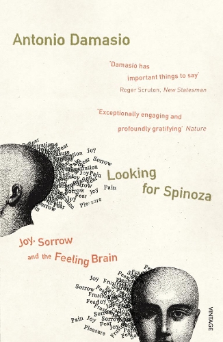 Antonio Damasio Looking For Spinoza