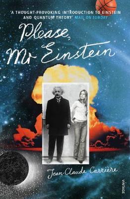 Please, Mr Einstein (Paperback)