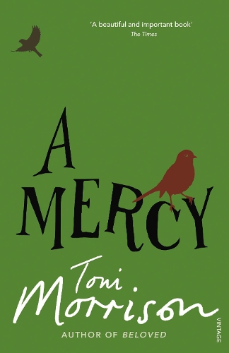 Cover of A Mercy