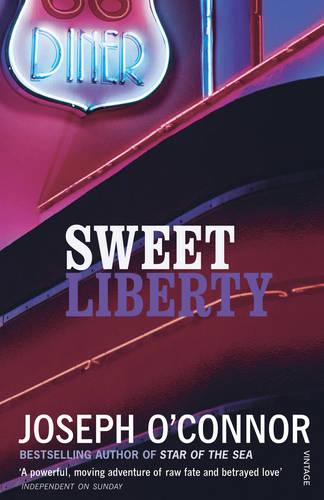 Sweet Liberty: Travels in Irish America (Paperback)