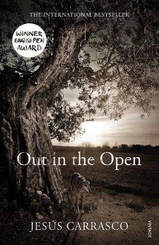 Out in the Open (Paperback)