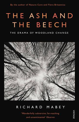 The Ash and The Beech: The Drama of Woodland Change (Paperback)