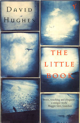 The Little Book (Paperback)