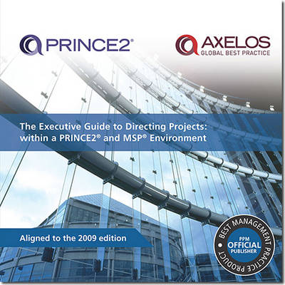 The executive guide to directing projects: within a PRINCE2 and MSP environment (Paperback)