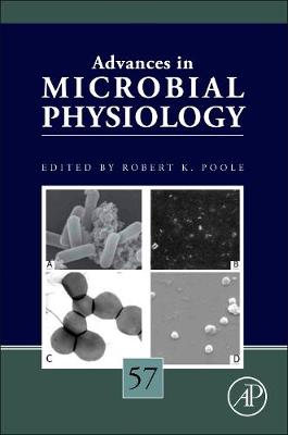 Advances in Microbial Physiology: Volume 58 - Advances in Microbial Physiology (Hardback)