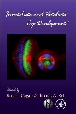 Invertebrate and Vertebrate Eye Development: Volume 93 - Current Topics in Developmental Biology (Hardback)