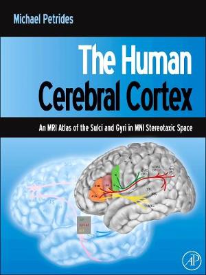 The Human Cerebral Cortex: An MRI Atlas of the Sulci and Gyri in MNI Stereotaxic Space (Hardback)