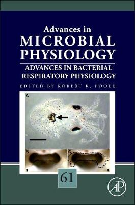 Advances in Bacterial Respiratory Physiology: Volume 61 - Advances in Microbial Physiology (Hardback)