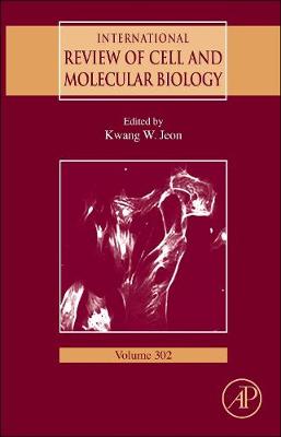 International Review of Cell and Molecular Biology: Volume 302 - International Review of Cell and Molecular Biology (Hardback)