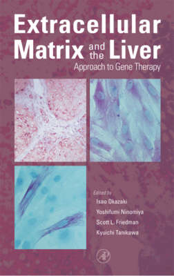 Extracellular Matrix and The Liver: Approach to Gene Therapy (Hardback)