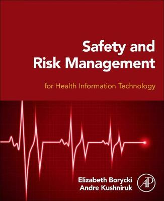 Safety and Risk Management for Health Information Technology (Paperback)