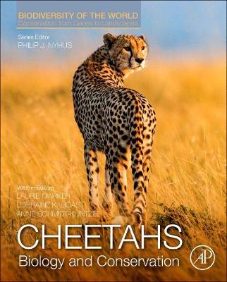 Cheetahs: Biology and Conservation: Biodiversity of the World: Conservation from Genes to Landscapes - Biodiversity of the World: Conservation from Genes to Landscapes (Hardback)