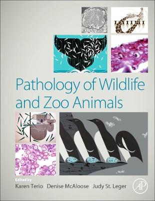 Pathology of Wildlife and Zoo Animals by Karen A. Terio, Denise Mcaloose |  Waterstones