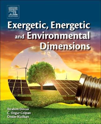 Exergetic, Energetic and Environmental Dimensions (Hardback)