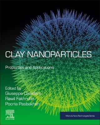 Clay Nanoparticles: Properties and Applications - Micro & Nano Technologies (Paperback)