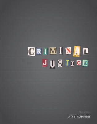 Criminal Justice: A Critical-Thinking Approach (Paperback)