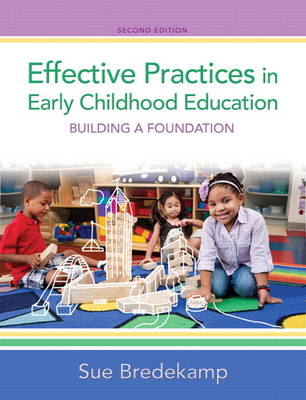 Effective Practices in Early Childhood Education: Building a Foundation (Hardback)