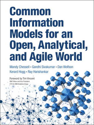 Common Information Models for an Open, Analytical, and Agile World (Hardback)
