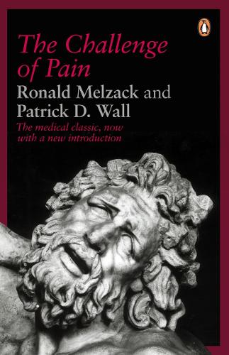 The Challenge of Pain (Paperback)