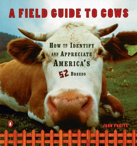 A Field Guide to Cows: How to Identify and Appreciate America's 52 Breeds (Paperback)