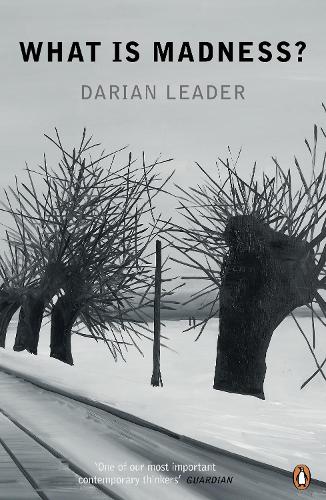 What is Madness? (Paperback)