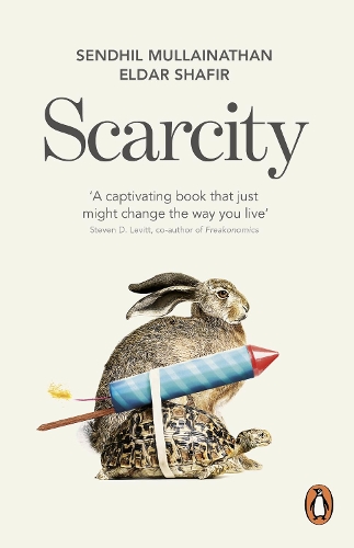 Scarcity: The True Cost of Not Having Enough (Paperback)