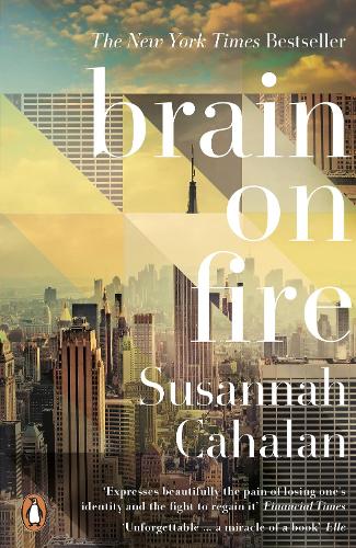 Brain On Fire: My Month of Madness (Paperback)