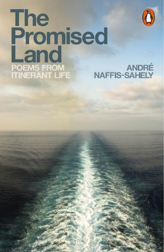 The Promised Land: Poems from Itinerant Life (Paperback)