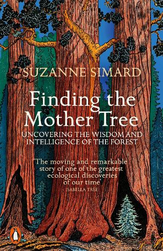 Finding the Mother Tree: Uncovering the Wisdom and Intelligence of the Forest (Paperback)