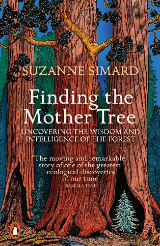 Cover of the book Finding the Mother Tree