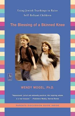 The Blessing of a Skinned Knee (Paperback)